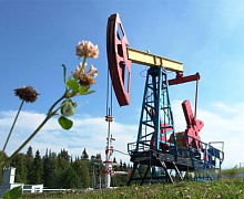 Новый закон позволил бы Альберте ограничить поток нефти и газа, так как эскалация битвы в Транс-Горе